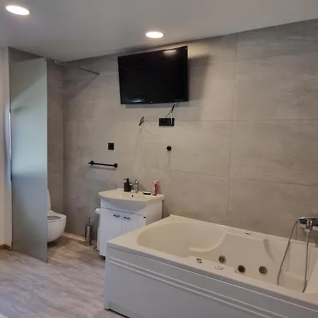 Swan 4*