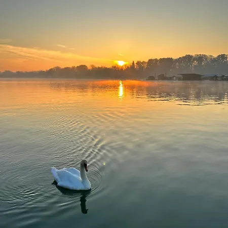 Swan Gostinjska kuća 4*